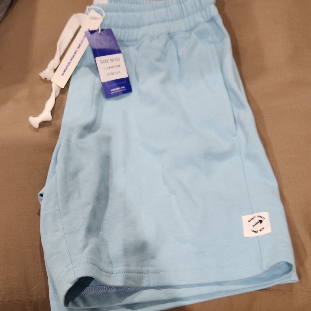 Sky Blue Casual Shorts